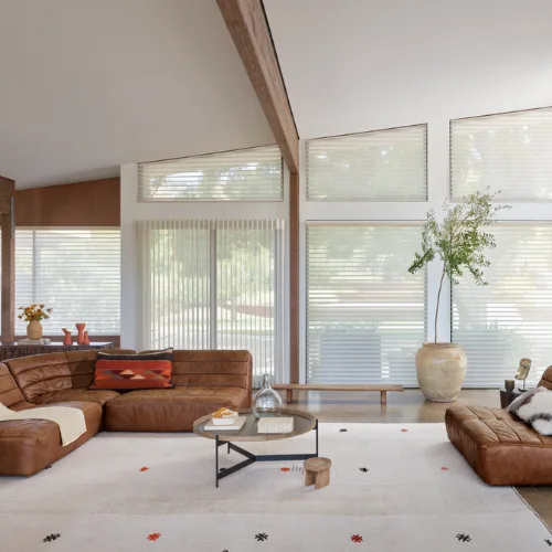 Bright modern living room with brown sectional sofas, glass coffee table, and tall plant near large windows.