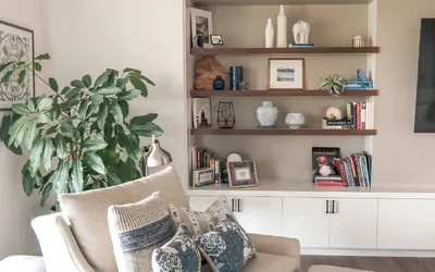 Cozy living room with a beige sofa, patterned cushions, a tall plant, and built-in shelves with decor and books.